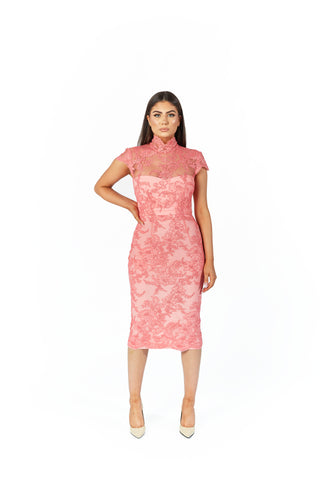 Alex Perry Pink Lace Dress